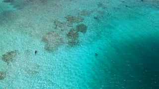 Mensen in de zee  op Aruba