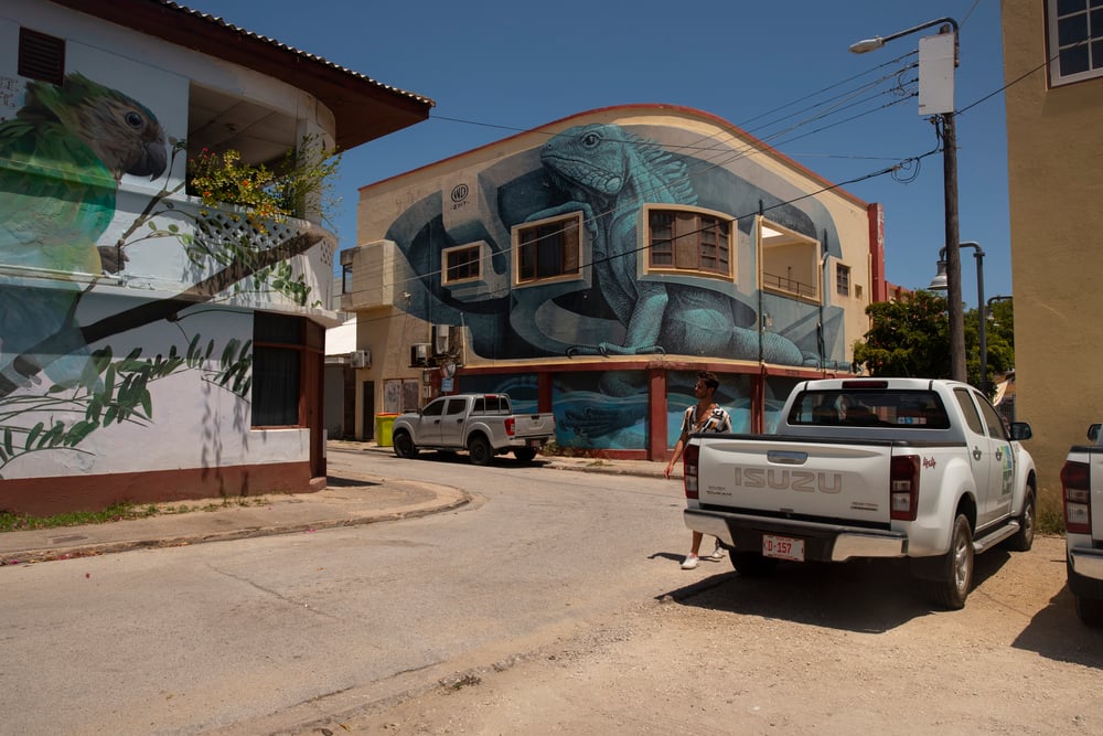 Een Pick-up als huurauto in de straten op Aruba