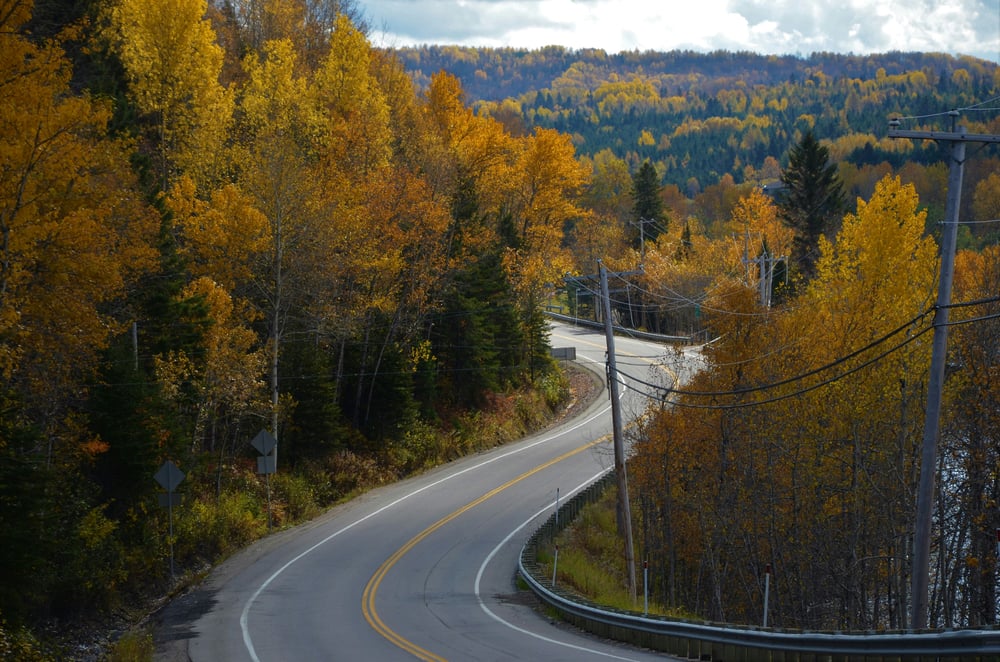 Weg door herfstbos in Canada