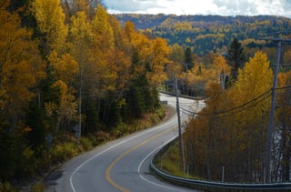 Weg door herfstbos in Canada