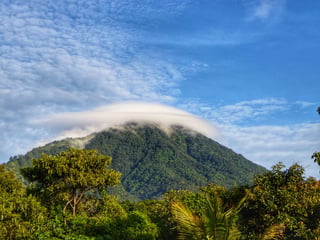 Berg gehuld in nevel in jungle El Salvador