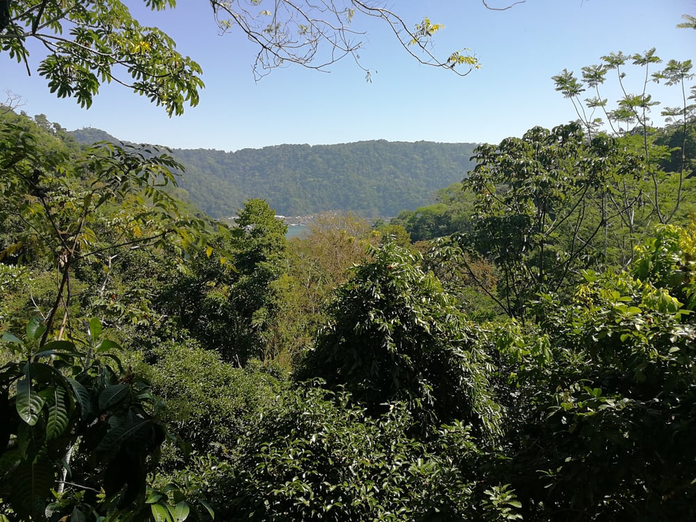 Uitzicht vanuit boomhut in Golfito, Costa Rica