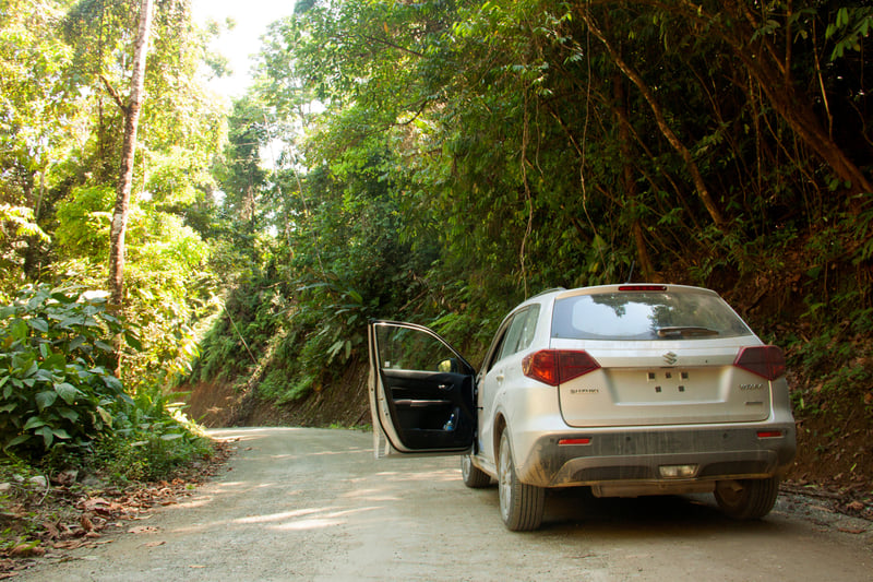 Licht grijze 4x4 op weg in de jungle van Costa Rica