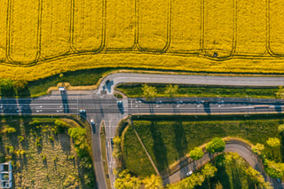 Gele velden lang snelweg in Polen