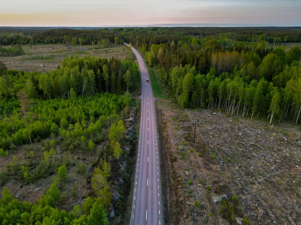 Weg door een bos in Zweden