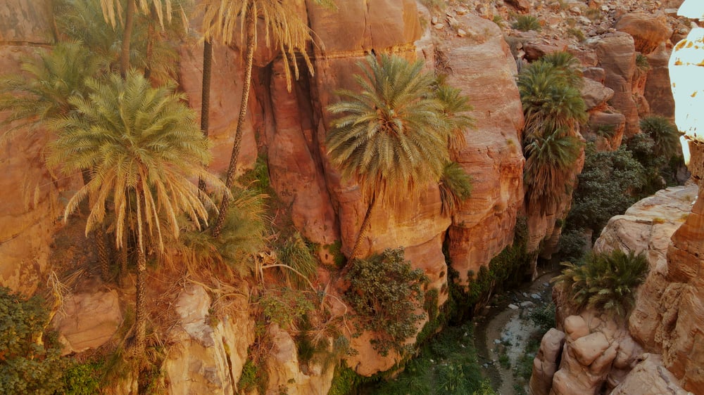 Uitzicht op Dana trail palm canyon Jordanië