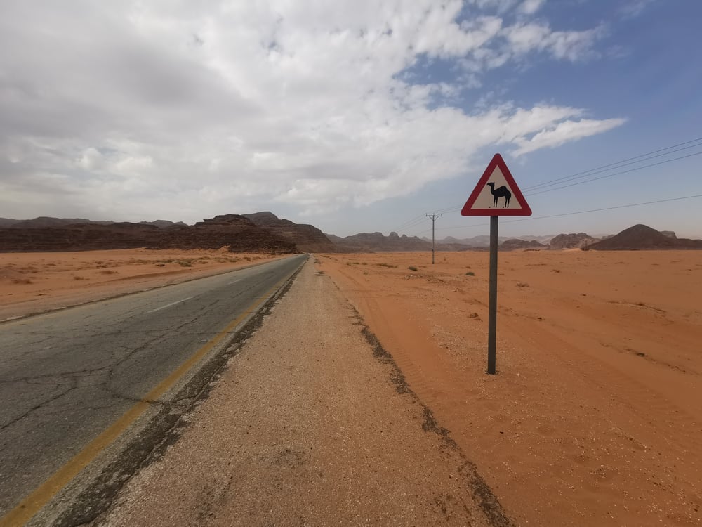 Dieren en andere obstakels op de weg Jordaniê