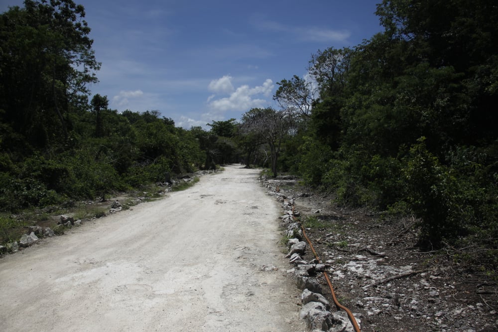 Veilig autorijden in Mexico