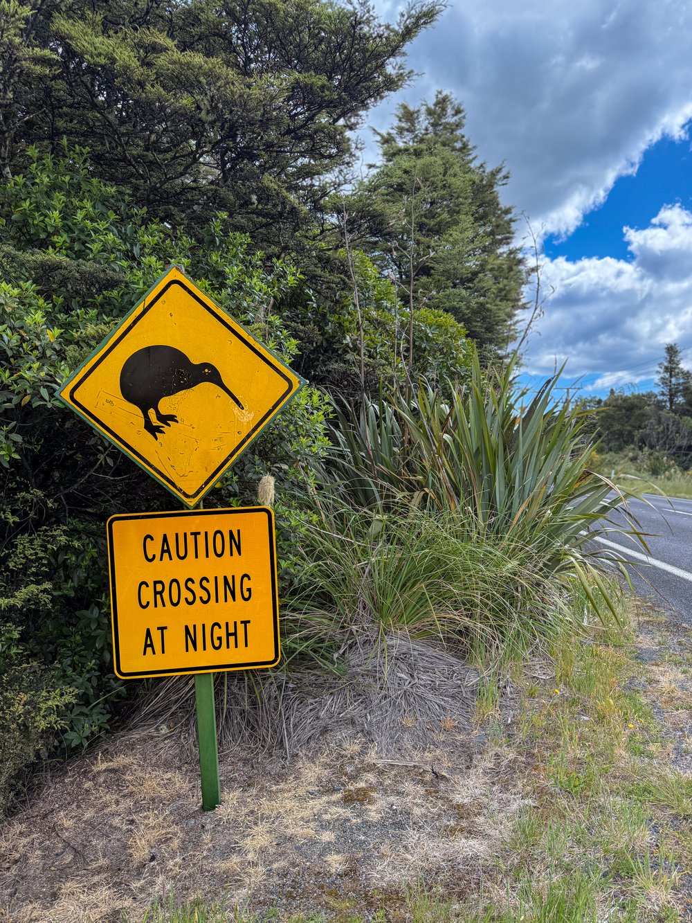 Geel waarschuwingsbord voor overstekende kiwi's