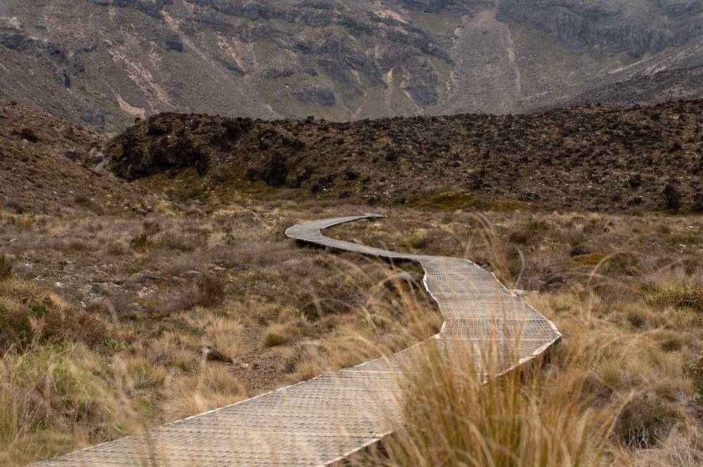 Zicht op de Tongariro Alpine crossing trekking track