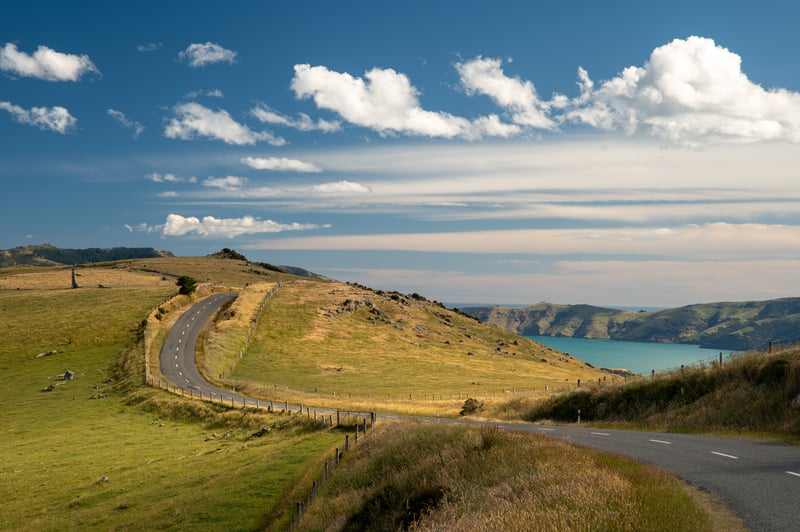 Zicht op een weg in Akaroa met groene velden en turquois water